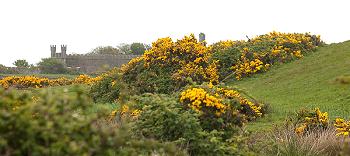 View to O'Brians Home